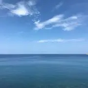 ドナルドの画像