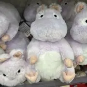 きょうこ