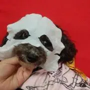 まー