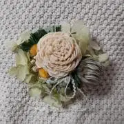 あきの画像