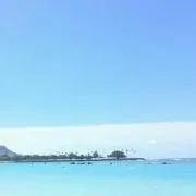 TOの画像
