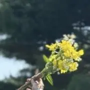 ニコニコ☺︎の画像