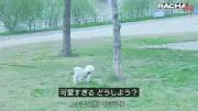 hari プロフ必読の画像