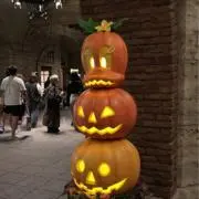 こてこの画像