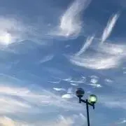 どらごん