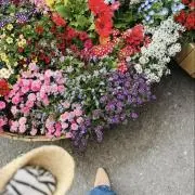 MYの画像
