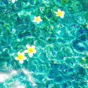 coro-coronの画像