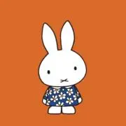 piの画像