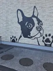 ハルの画像