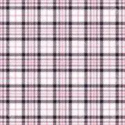 ももの画像