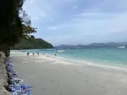 ちょちょ丸
