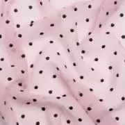 ✮の画像