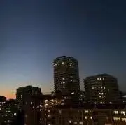 もずく