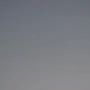 なかじまの画像