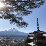 Gucchiの画像