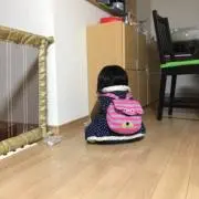 重男