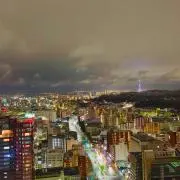 からあげの画像