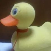 あひる(全品即購入OK)の画像