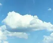 きなこ(プロフ必読)の画像