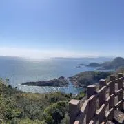 TONAKAIの画像