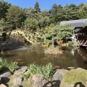 Anko