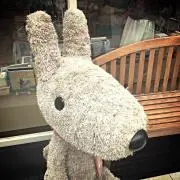 papandaの画像