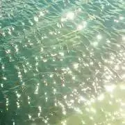 ほた プロフ必読 いいねより交渉の画像