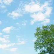 KKKの画像