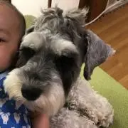 chieriの画像