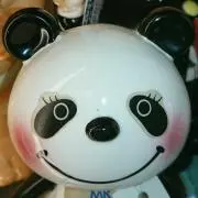 アパレルパンダの画像