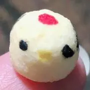 丹頂