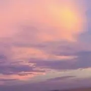 たきの画像