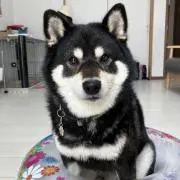 KMMS☆の画像