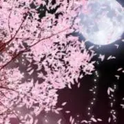 オリ☆セール開催☆の画像