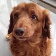 あけ