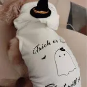 男梅の画像