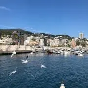 nahoの画像