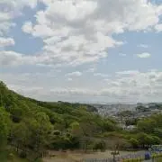 YMSKの画像
