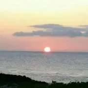 白米大好きの画像
