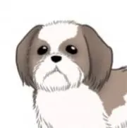 ⭐️断舎離中、即日発送⭐️くるくる