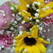 ケセラセラ～売り切り希望～