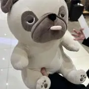 Roroの画像