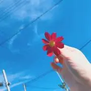 meuの画像