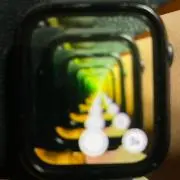 ぽんの画像