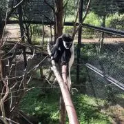 えいたの画像