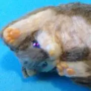 ぎょうざ