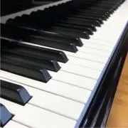 ひかりの画像