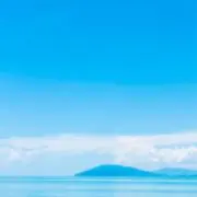 yyの画像
