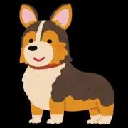 Reyの画像