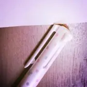 ぽむの画像